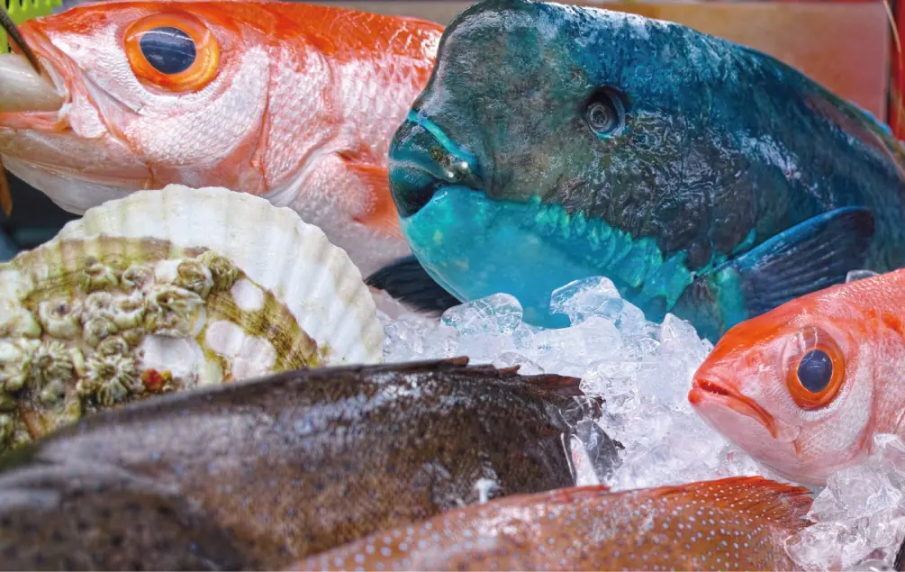 那覇市周辺：公設市場