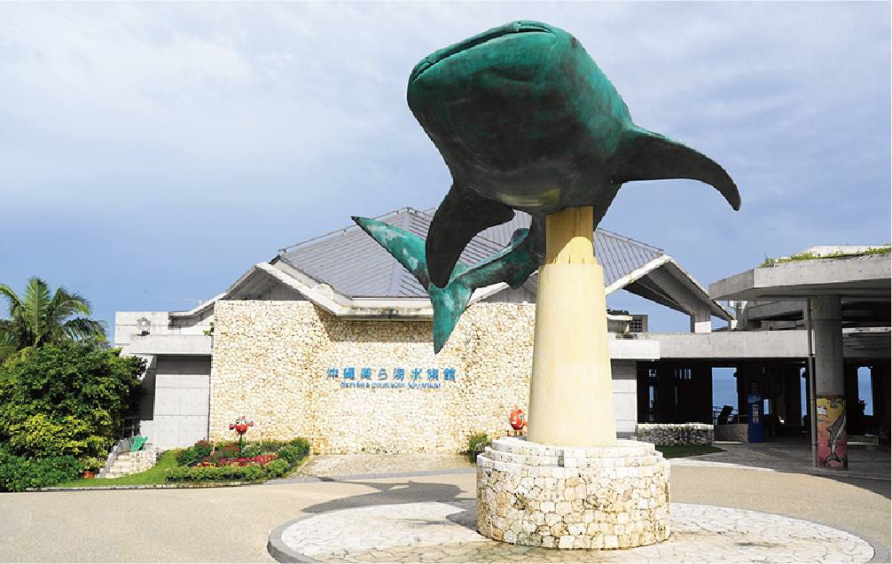 北部：本部：美ら海水族館